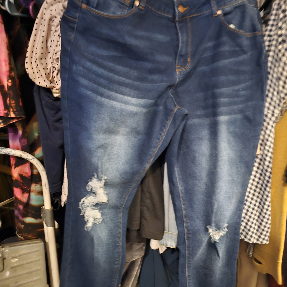Toxica Distressed Women's Jeans